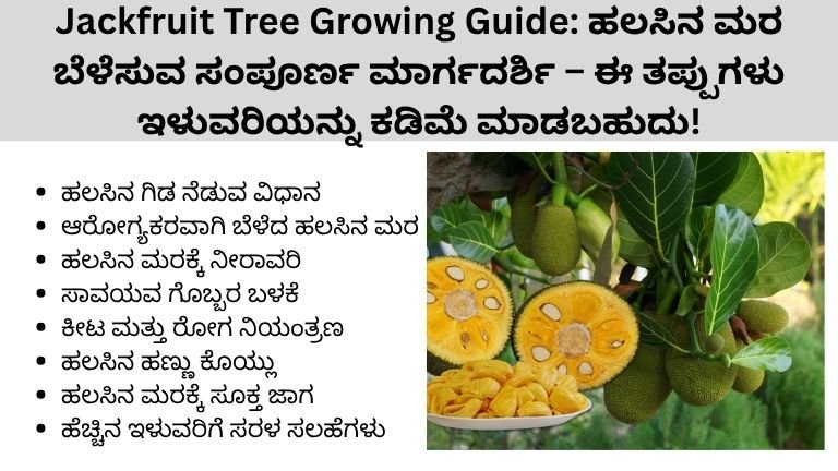 Jackfruit Tree Growing Guide