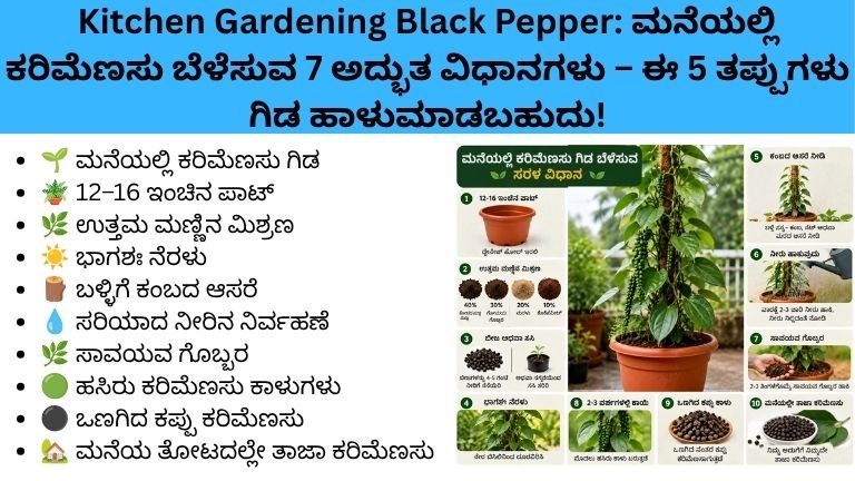 Kitchen Gardening Black Pepper