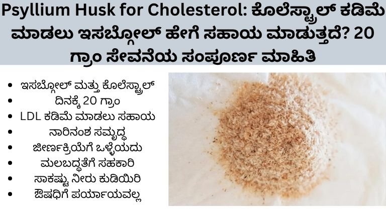 Psyllium Husk for Cholesterol