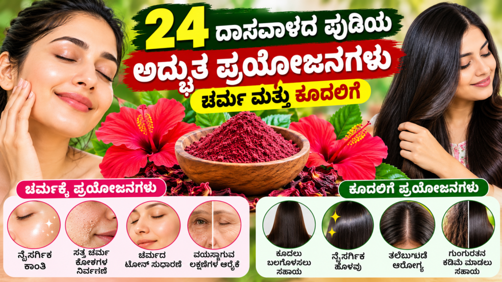 Hibiscus Powder Benefits