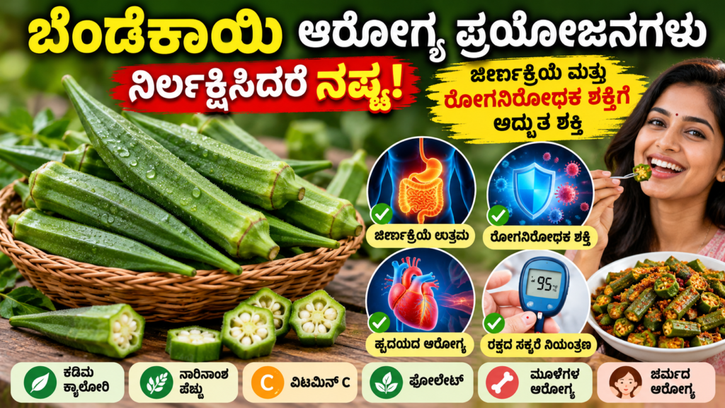 Okra Health Benefits