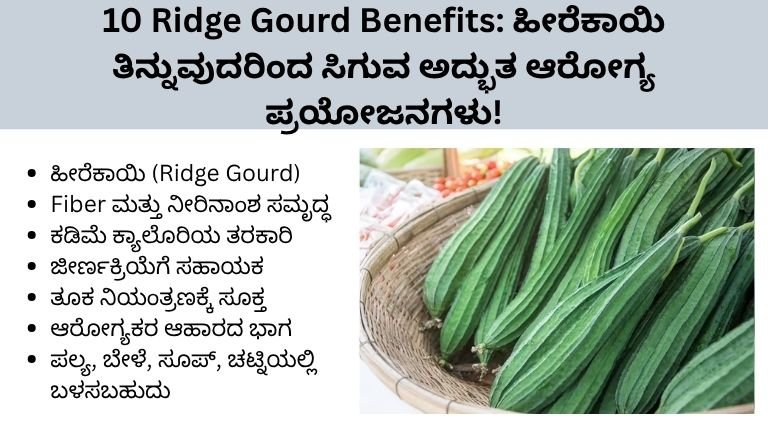 Ridge Gourd Benefits